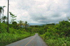 CR06-06-02-img36