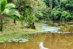 CR06-06-03-img32