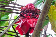 CR06-06-03-img34