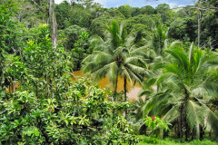 CR06-06-04-img01