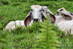 CR06-06-04-img30