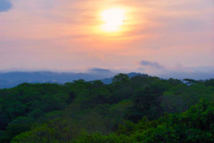CR06-06-05-img05