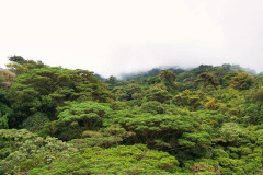 CR06-06-05-img50