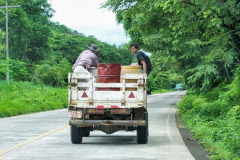 CR06-06-06-img28