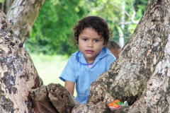 CR06-06-08-img28