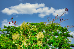 CR06-06-09-img08