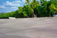 CR06-06-09-img20