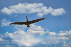 CR06-06-10-img13