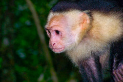 CR06-06-10-img52
