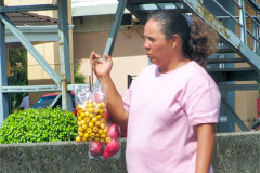 CR06-06-14-img12