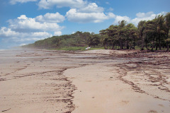 bild01