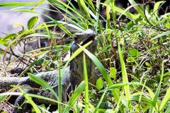 bild01