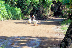 bild02