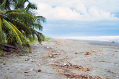 bild13
