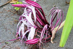 bild15