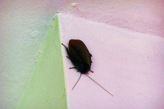bild3