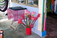bild11
