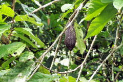 bild02