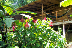 bild02