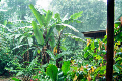 bild04