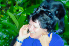 bild06