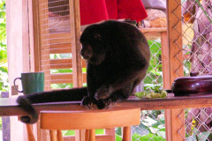 bild11