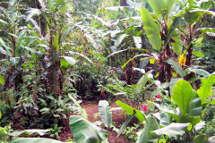 bild14
