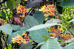bild17