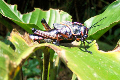 bild21