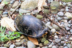 bild22