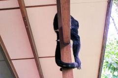 bild08