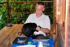 bild12
