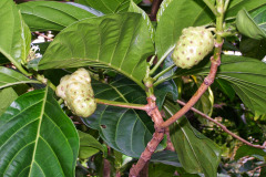bild01