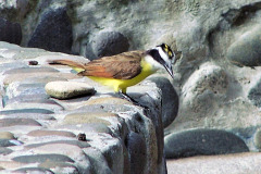 bild04