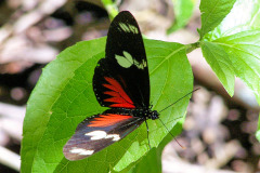 bild12