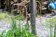 bild06