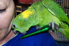 C07-05-26-bild08