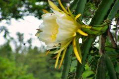 bild02