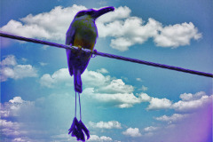 bild03