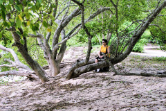 C07-05-27-bild07