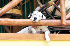 bild01