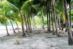 bild06
