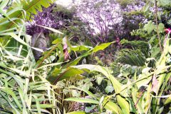 bild10