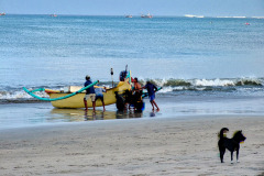 Bali08-1-pic37