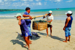 Bali08-1-pic44