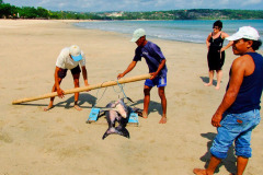 Bali08-1-pic46