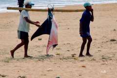 Bali08-1-pic48