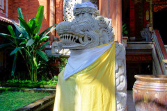 Bali08-2-pic11