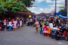 Bali08-5-05pic
