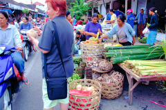 Bali08-5-07pic